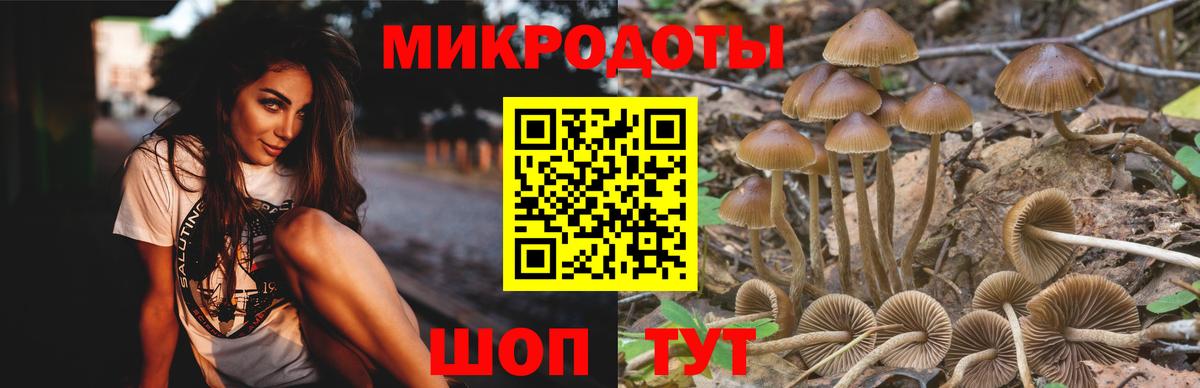 Псилоцибиновые грибы мицелий Норильск