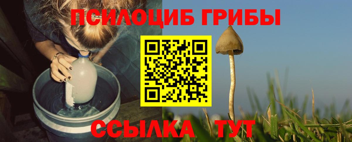 Норильск  Псилоцибиновые грибы ЛСД  купить наркотик  Галлюциногенные грибы Magic Shrooms  Вход с VPN 